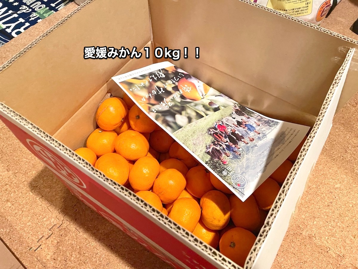 f:id:chikojirou:20201227215129j:plain