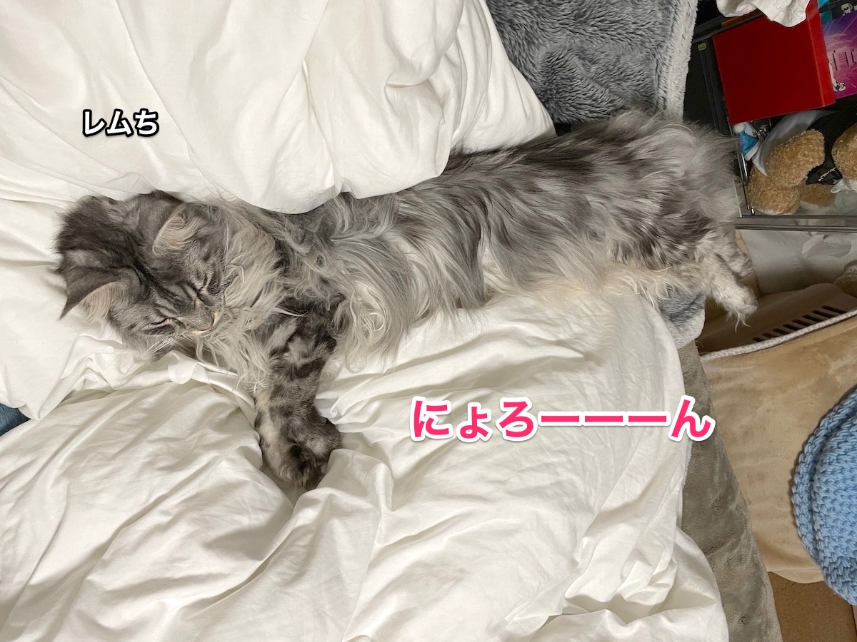 f:id:chikojirou:20210102215604j:plain