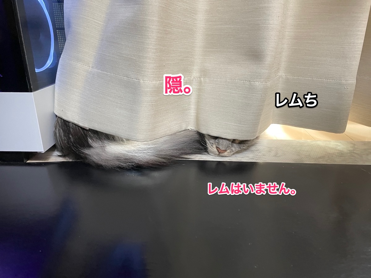 f:id:chikojirou:20210106210501j:plain