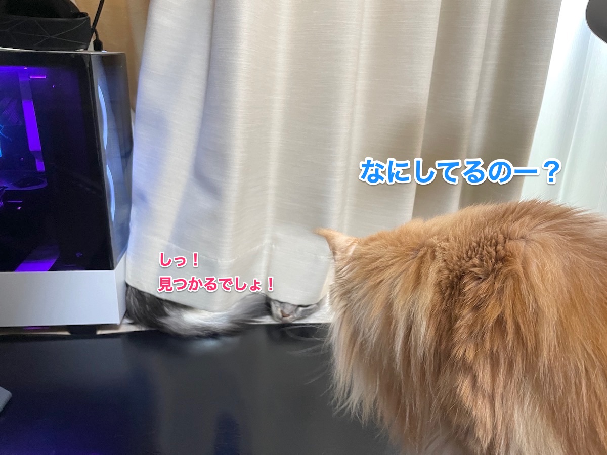 f:id:chikojirou:20210106210505j:plain