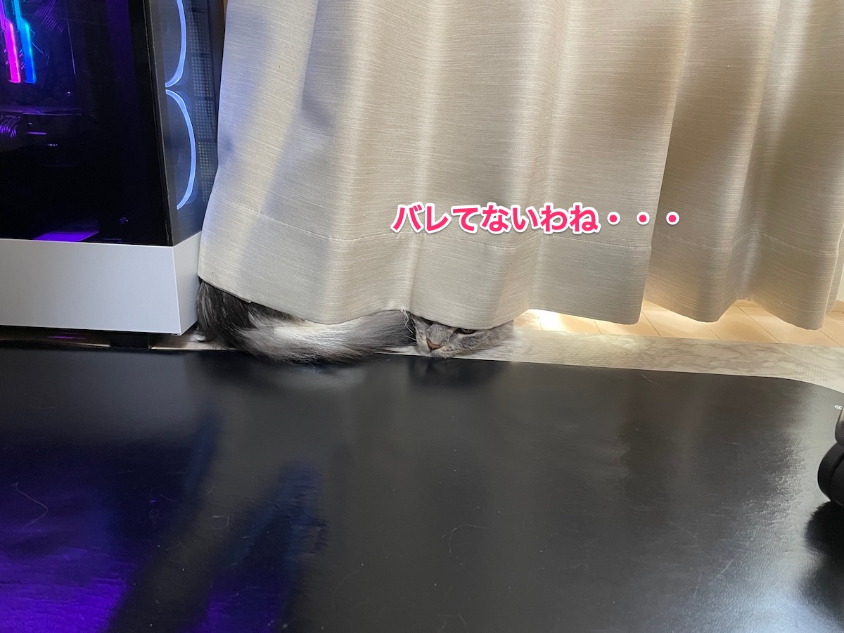 f:id:chikojirou:20210106210508j:plain