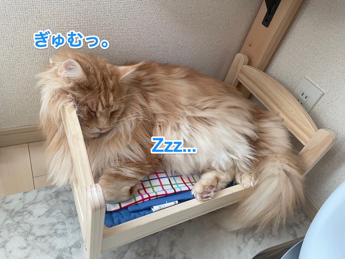 f:id:chikojirou:20210106210517j:plain