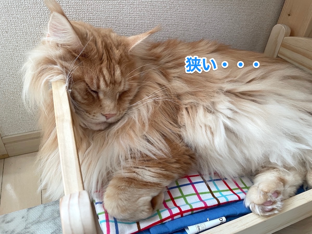 f:id:chikojirou:20210106210522j:plain