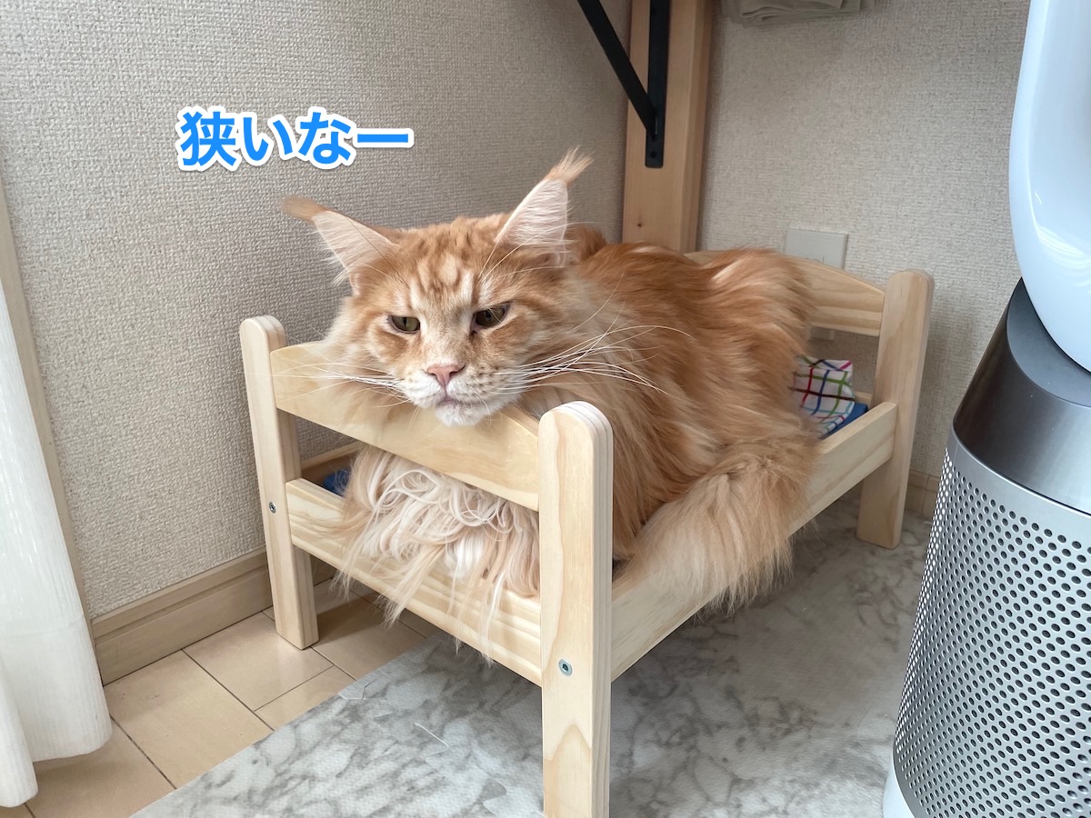 f:id:chikojirou:20210106210526j:plain