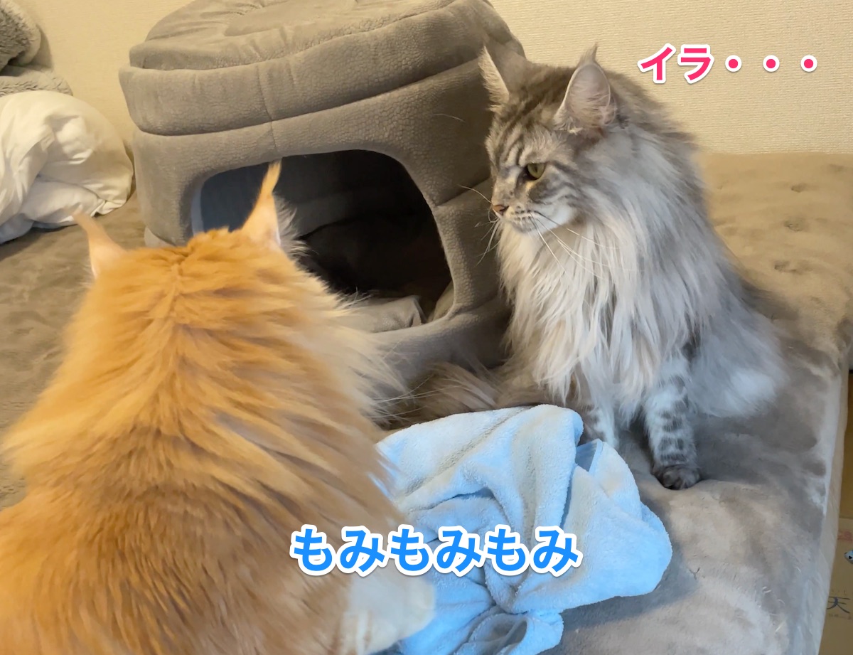 f:id:chikojirou:20210107211404j:plain