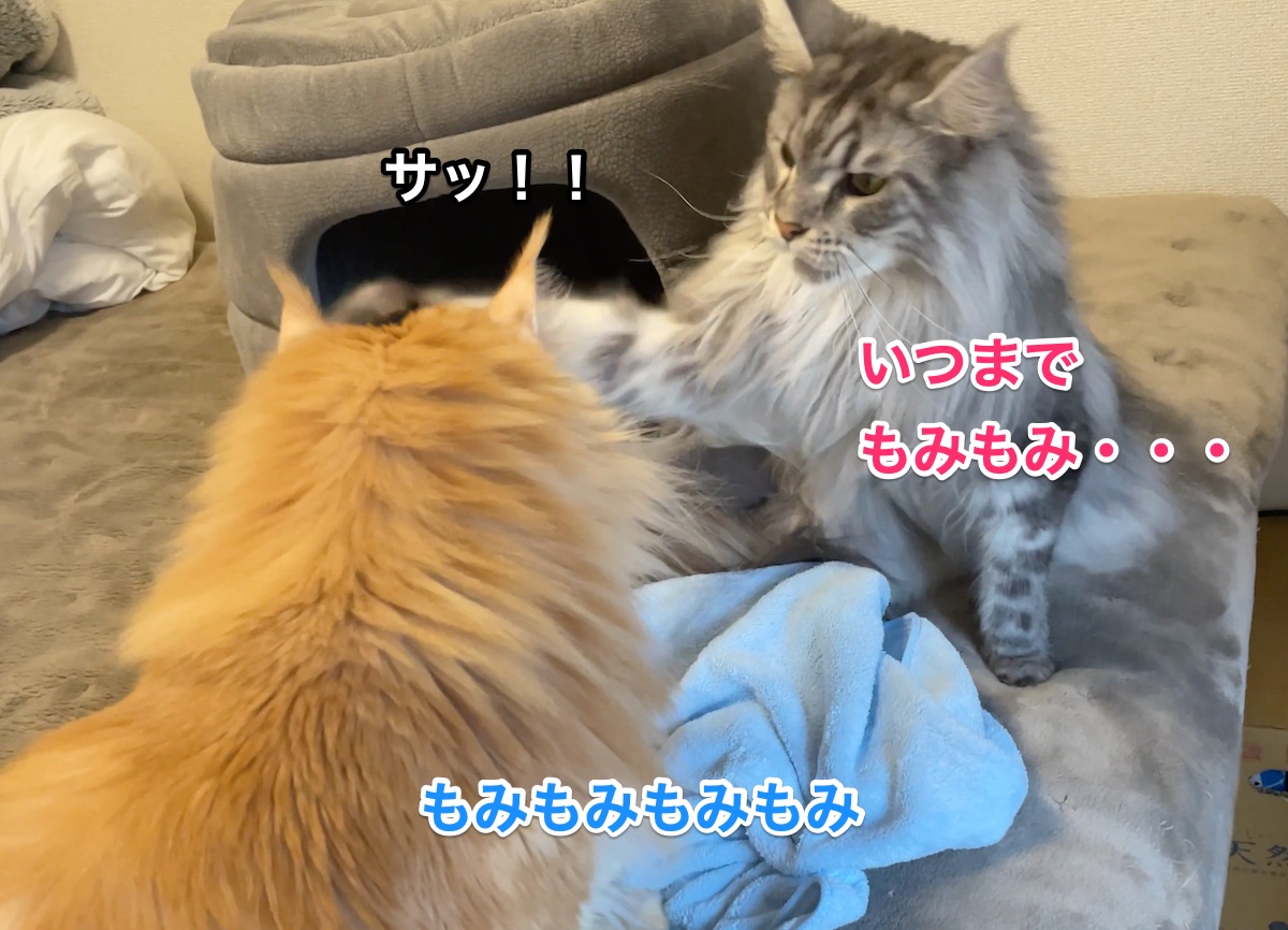 f:id:chikojirou:20210107211408j:plain
