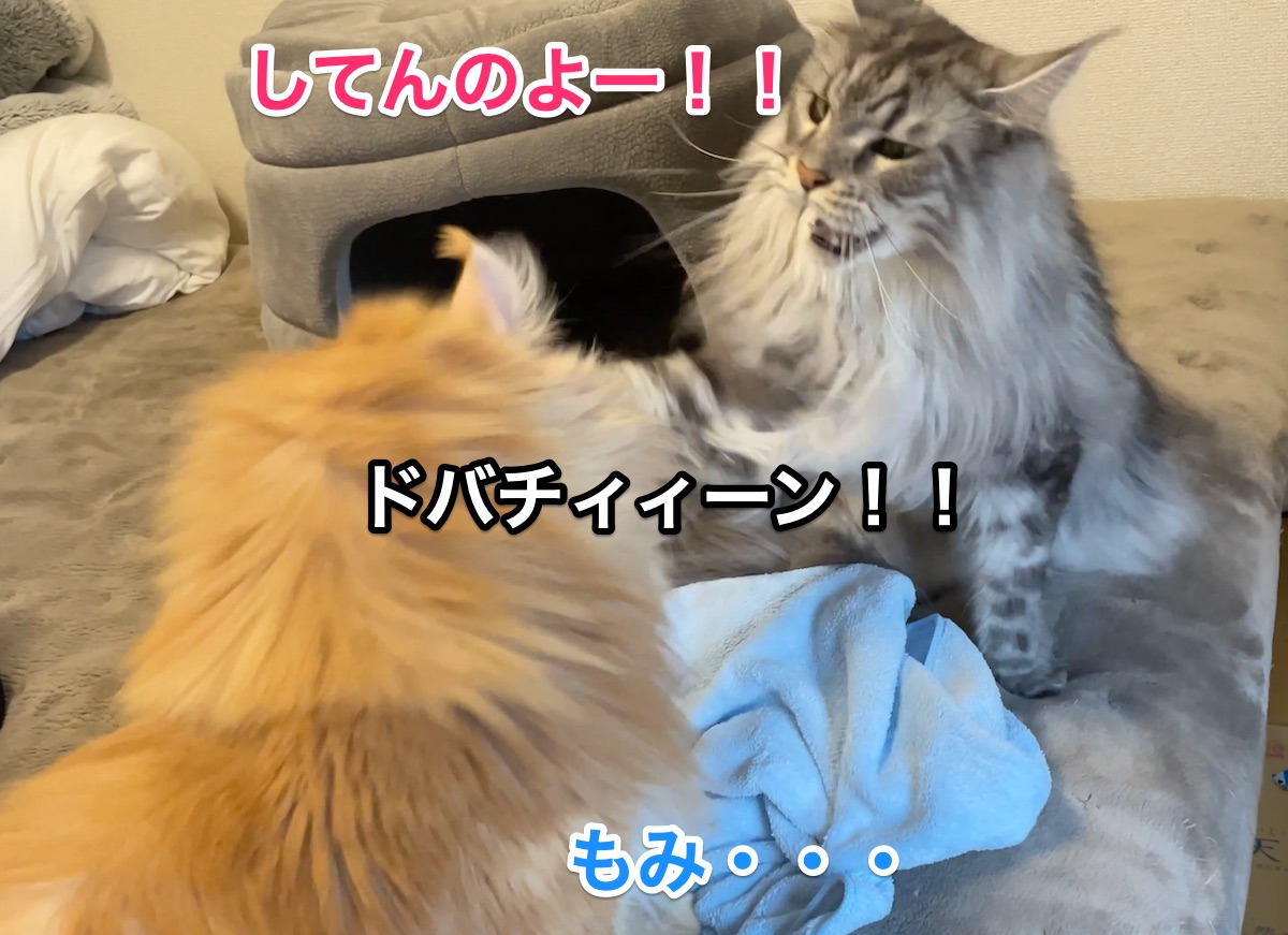 f:id:chikojirou:20210107211411j:plain
