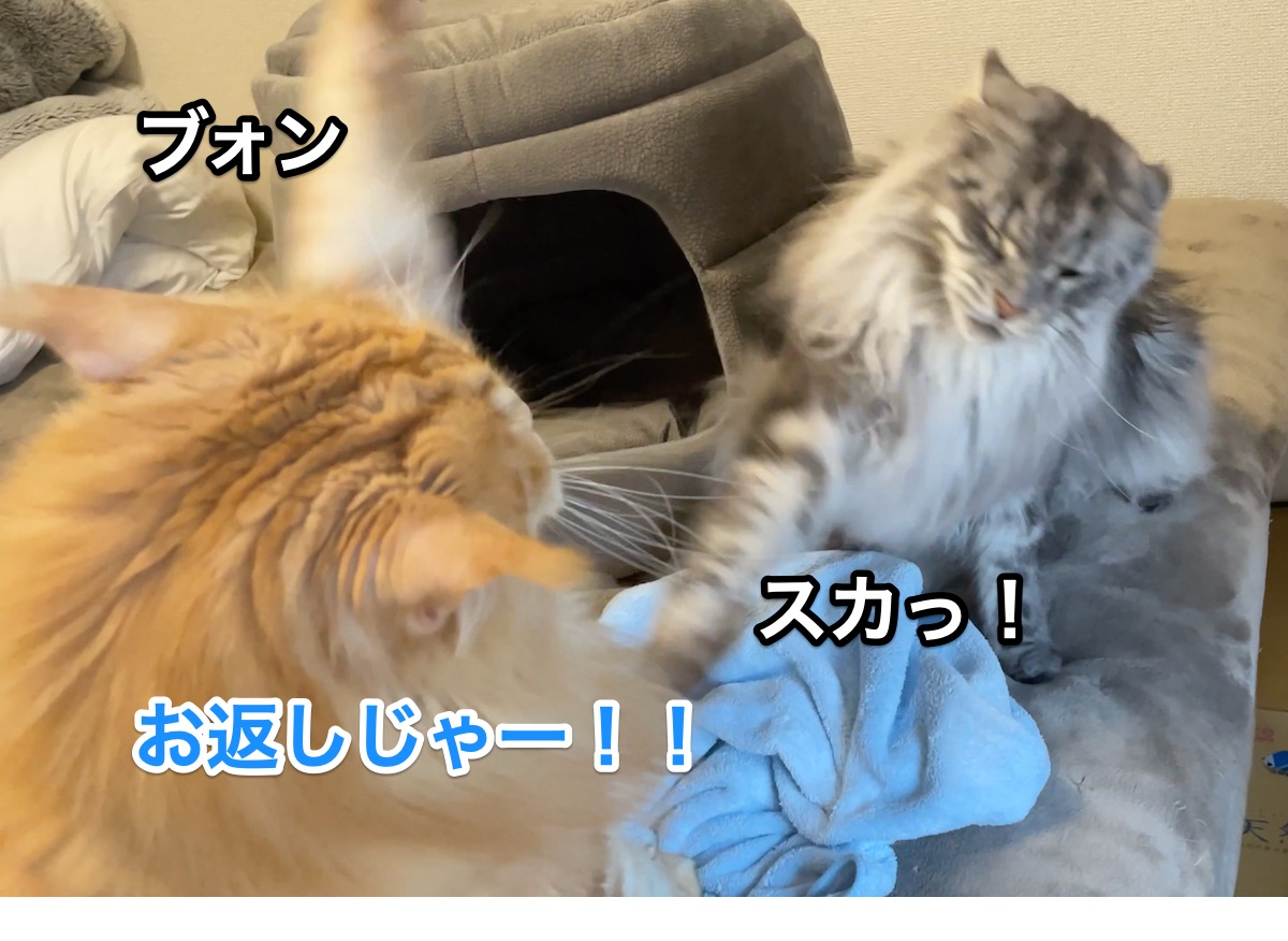 f:id:chikojirou:20210107211422j:plain