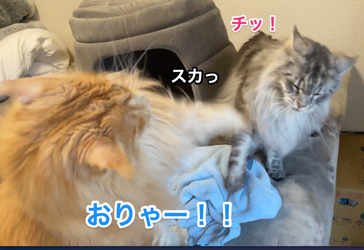 f:id:chikojirou:20210107211426j:plain
