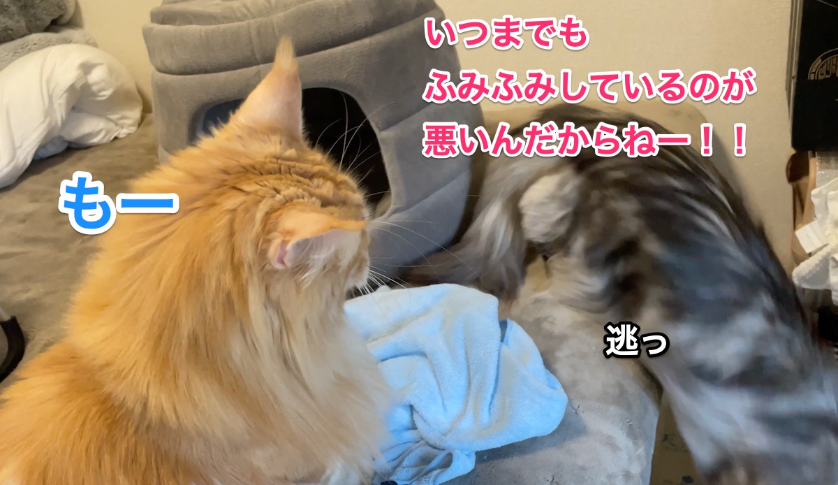 f:id:chikojirou:20210107211429j:plain