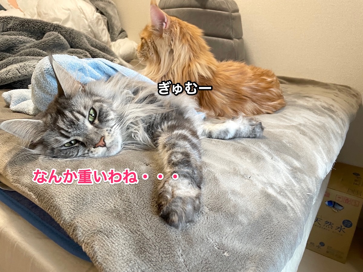 f:id:chikojirou:20210109220529j:plain