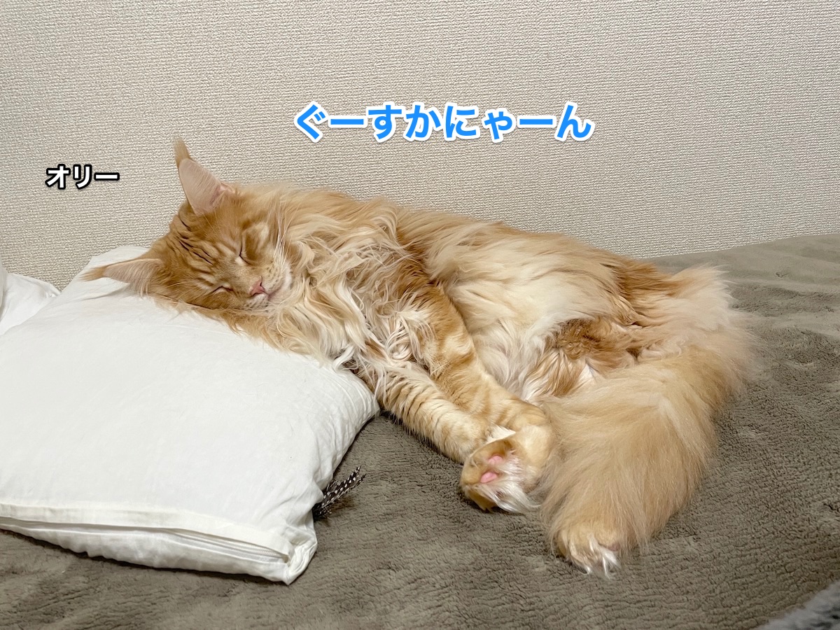 f:id:chikojirou:20210115215824j:plain