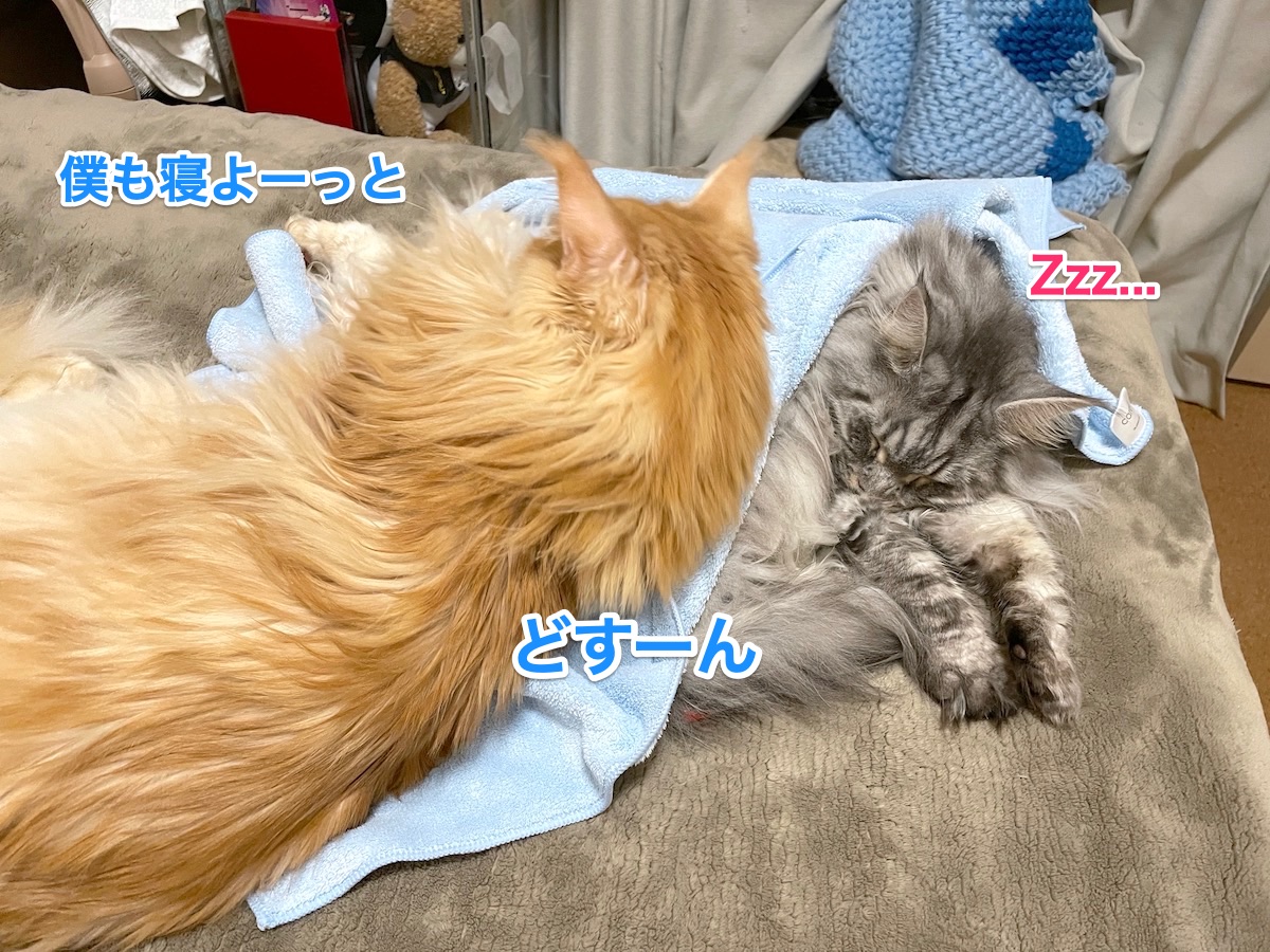 f:id:chikojirou:20210115215854j:plain
