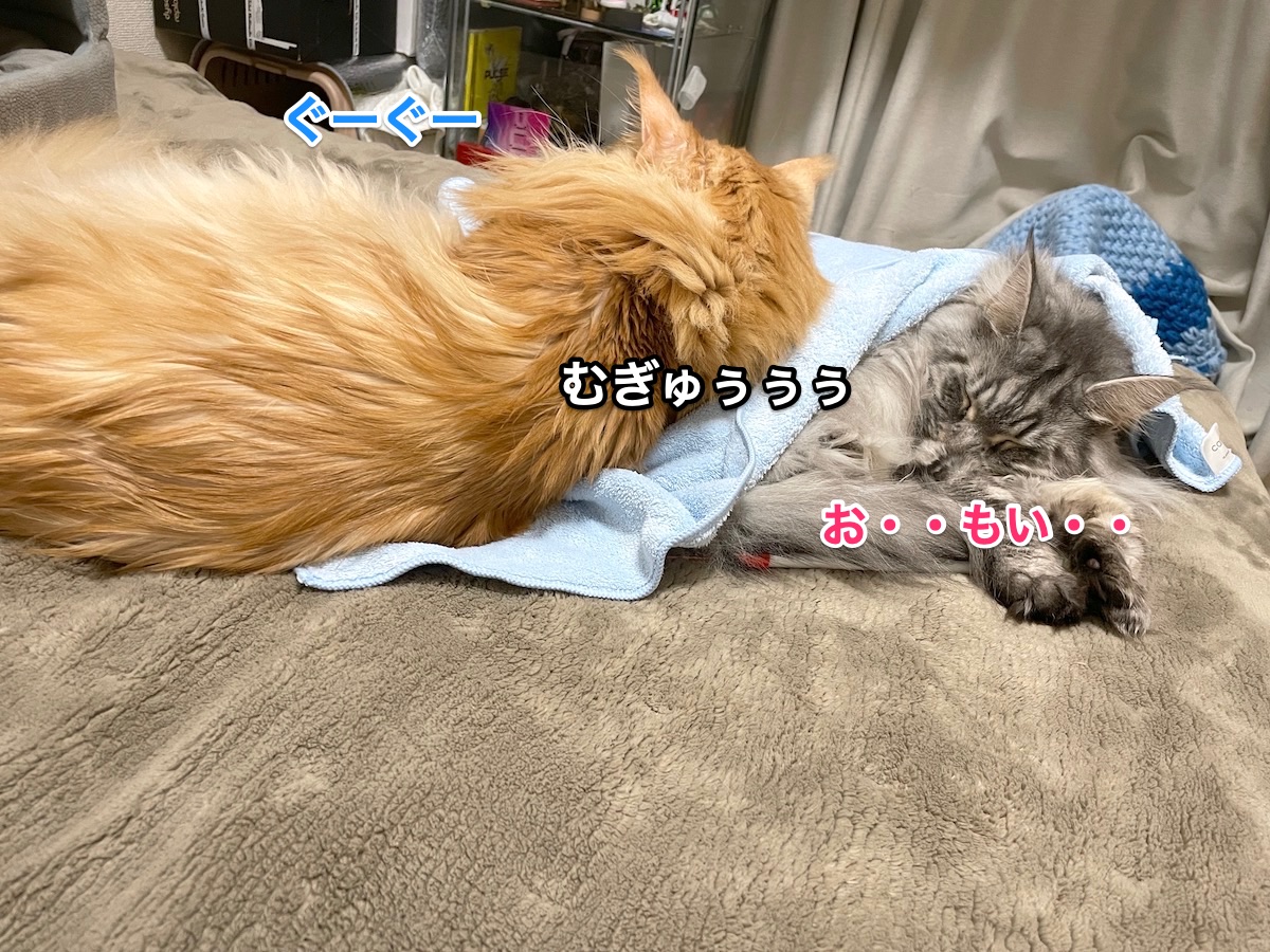 f:id:chikojirou:20210115215857j:plain