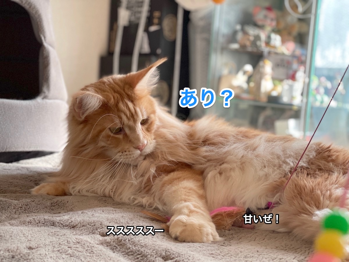 f:id:chikojirou:20210118213613j:plain
