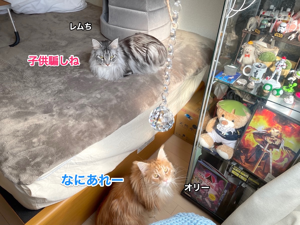 f:id:chikojirou:20210120220111j:plain