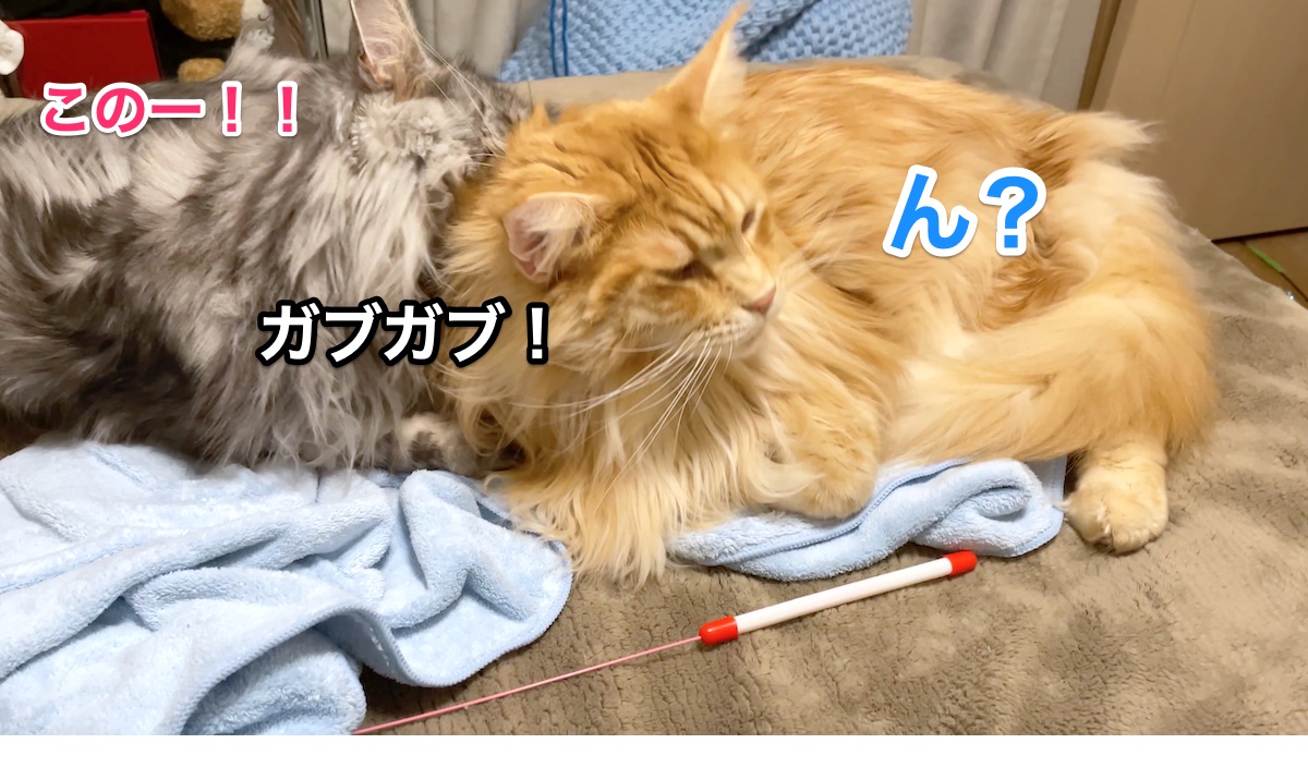 f:id:chikojirou:20210120220134j:plain