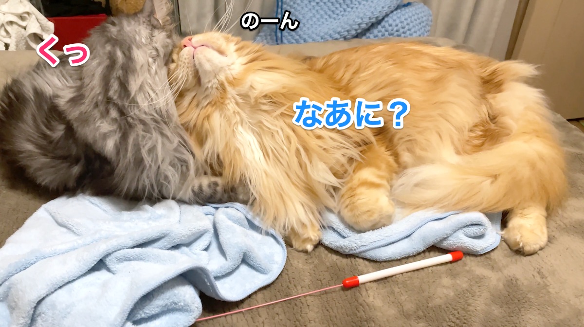 f:id:chikojirou:20210120220138j:plain