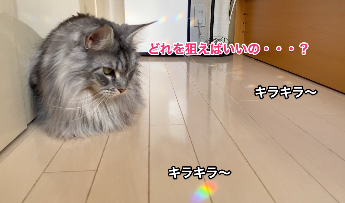 f:id:chikojirou:20210125220700j:plain