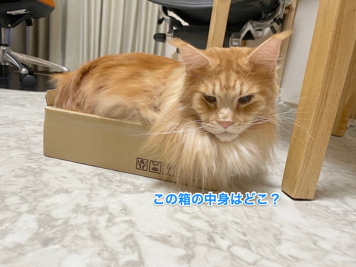 f:id:chikojirou:20210125220719j:plain