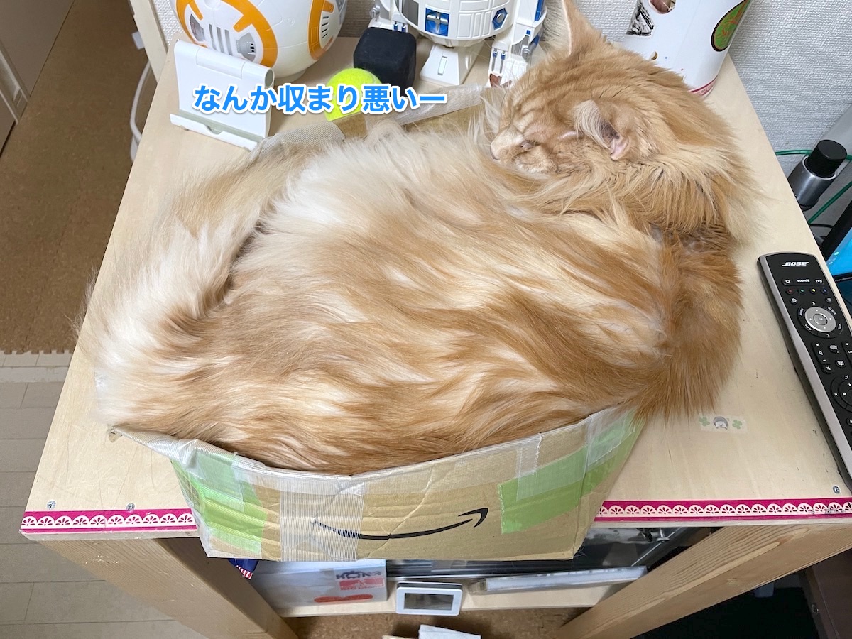 f:id:chikojirou:20210128215147j:plain
