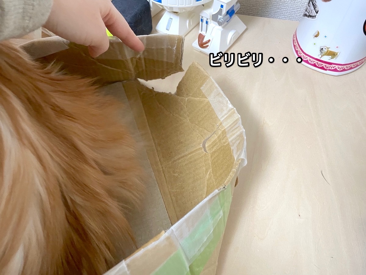 f:id:chikojirou:20210128215202j:plain
