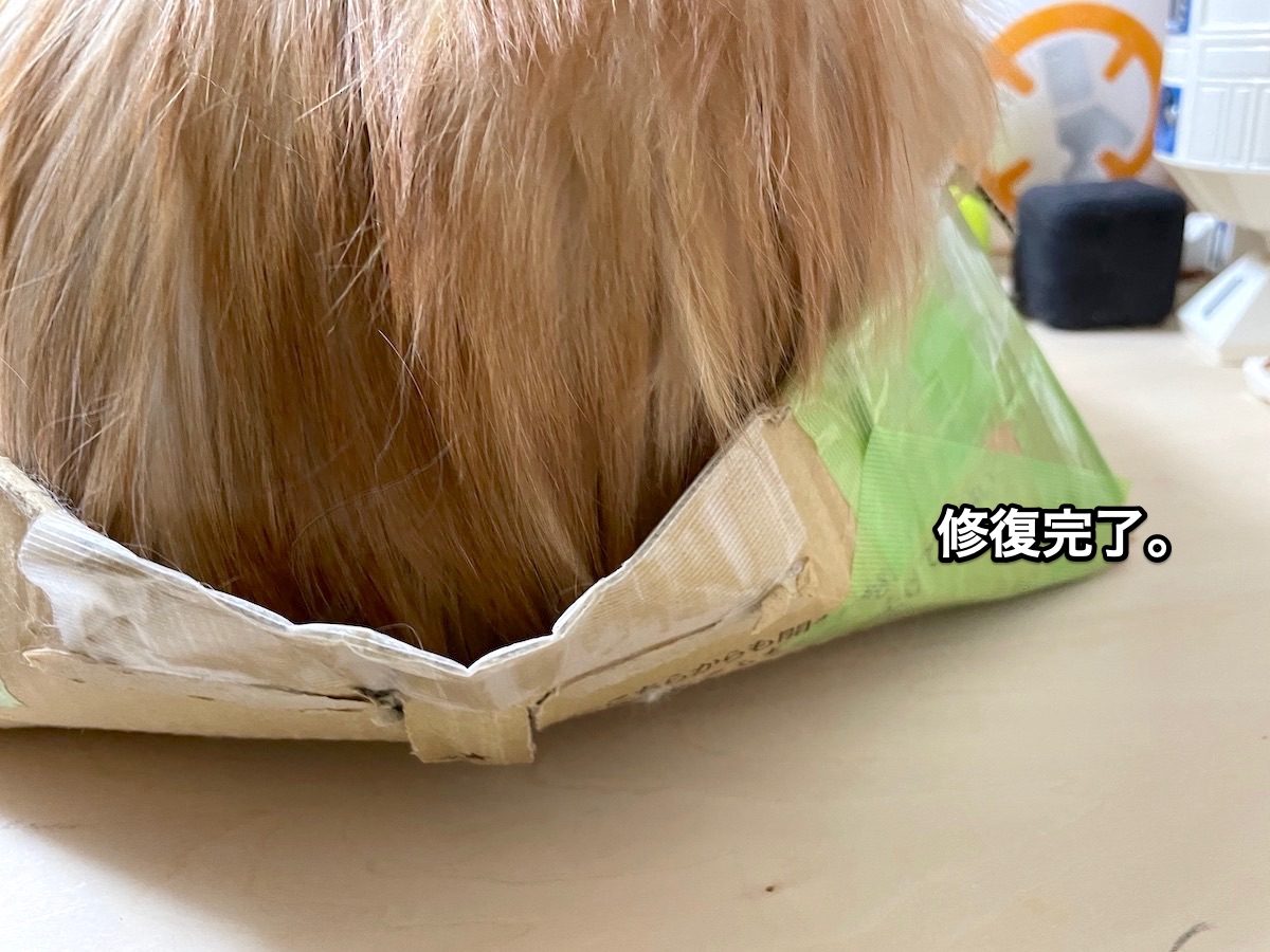 f:id:chikojirou:20210128215205j:plain
