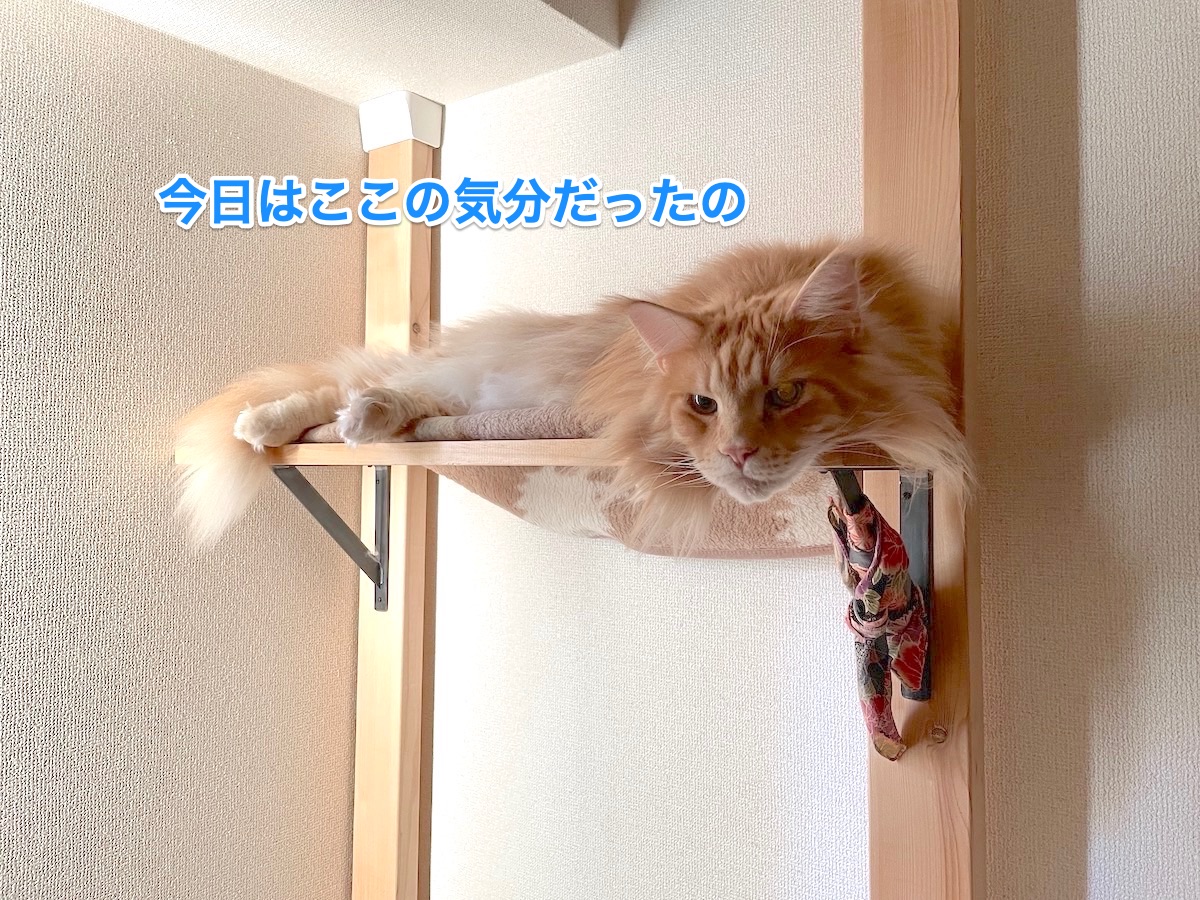 f:id:chikojirou:20210209211129j:plain