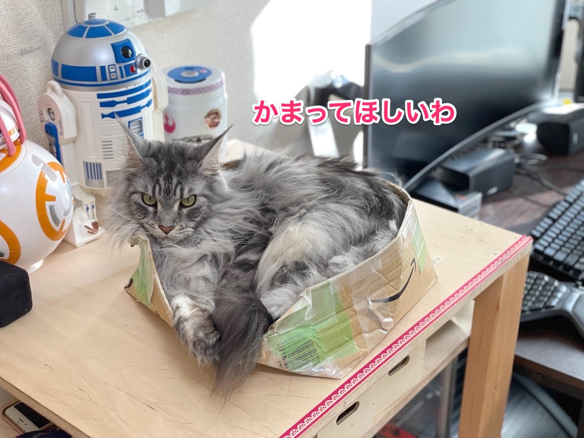 f:id:chikojirou:20210211155657j:plain