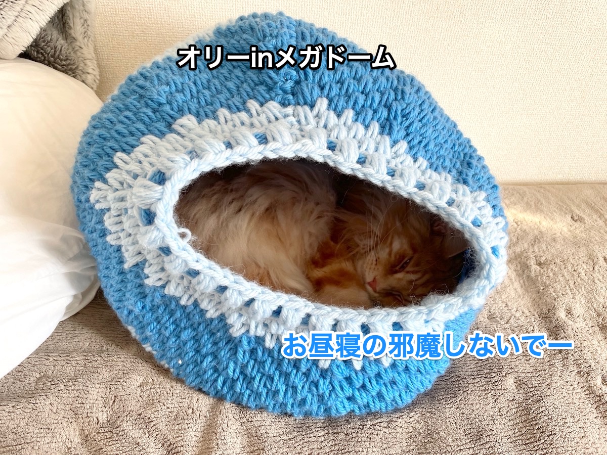 f:id:chikojirou:20210216230708j:plain