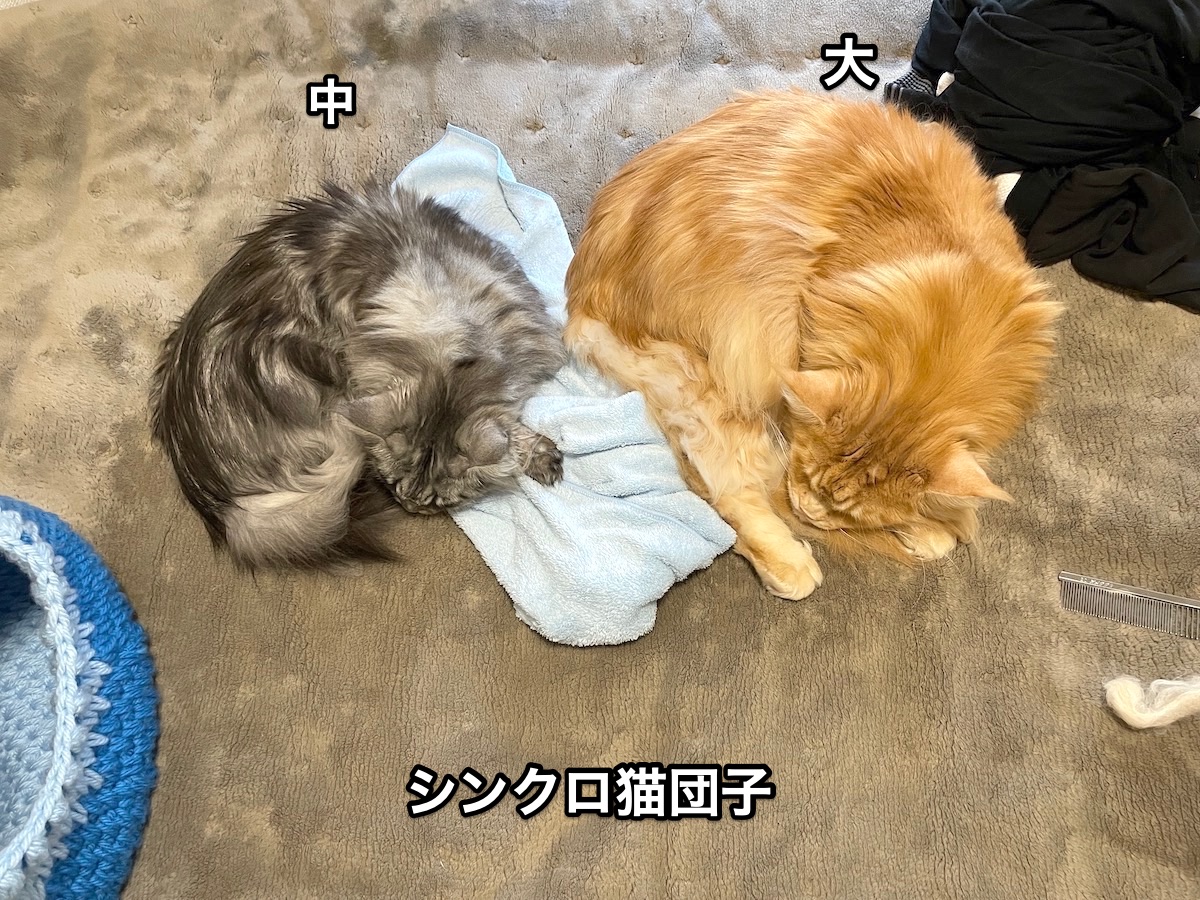 f:id:chikojirou:20210216230720j:plain