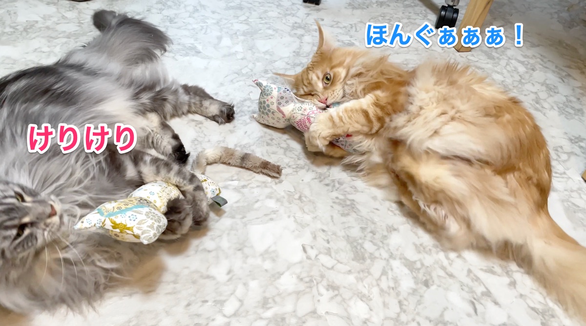 f:id:chikojirou:20210216230746j:plain
