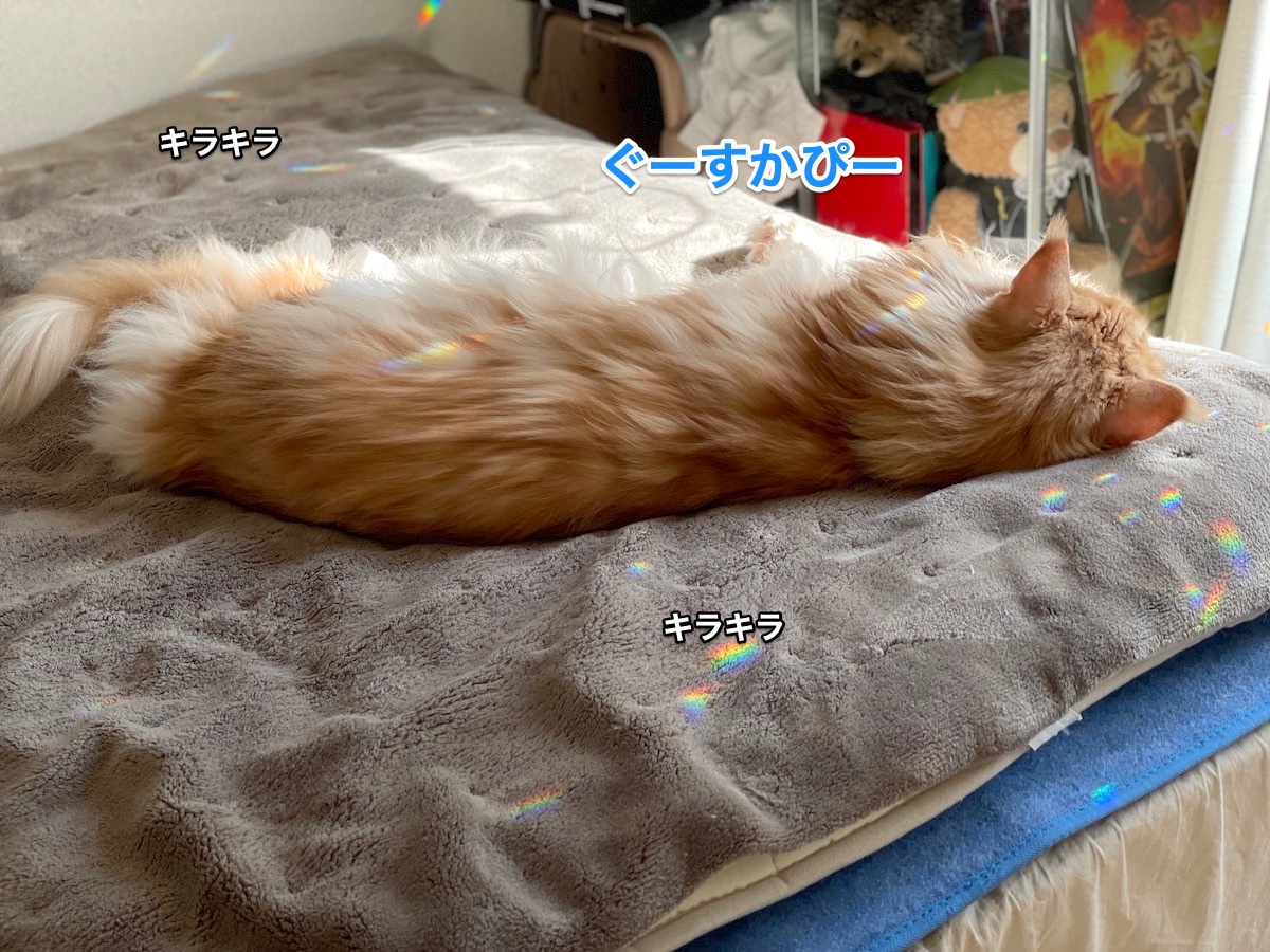 f:id:chikojirou:20210221222130j:plain