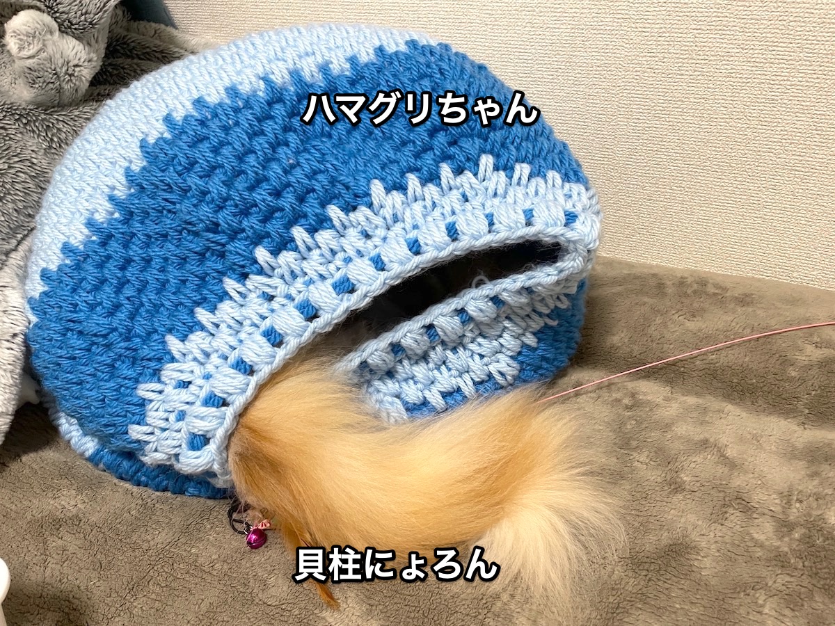 f:id:chikojirou:20210221222146j:plain