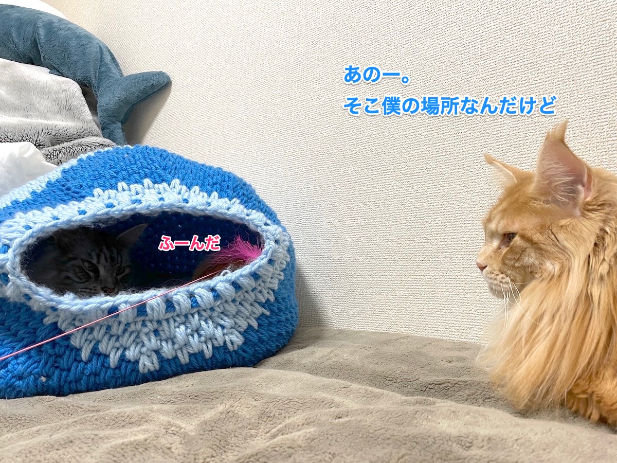 f:id:chikojirou:20210222215411j:plain