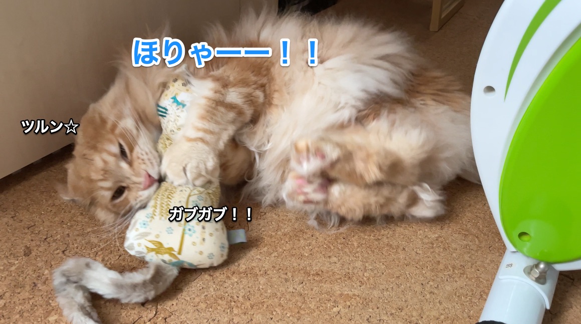 f:id:chikojirou:20210222215421j:plain