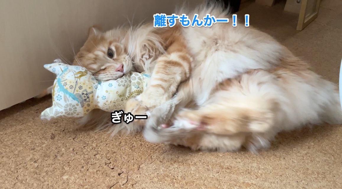 f:id:chikojirou:20210222215427j:plain