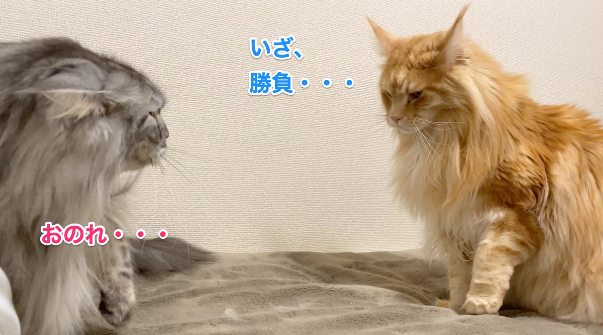 f:id:chikojirou:20210228211057j:plain