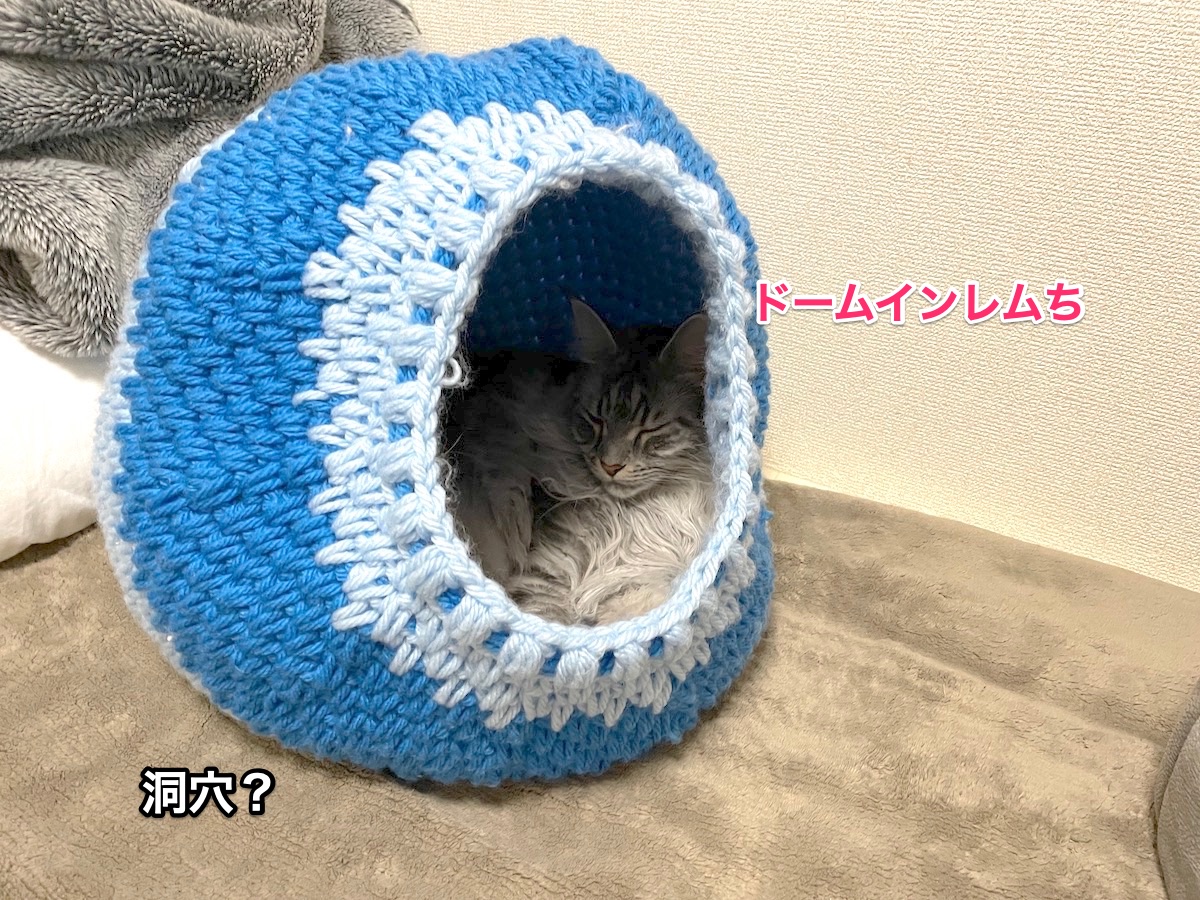 f:id:chikojirou:20210302215719j:plain