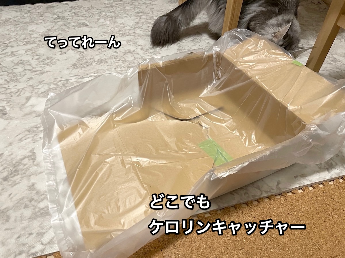 f:id:chikojirou:20210305220342j:plain