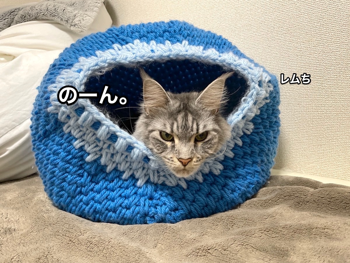 f:id:chikojirou:20210306231005j:plain