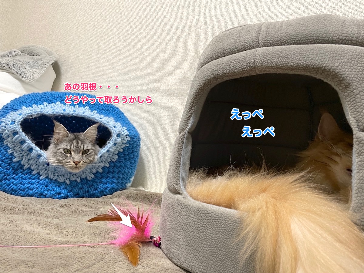 f:id:chikojirou:20210306231015j:plain