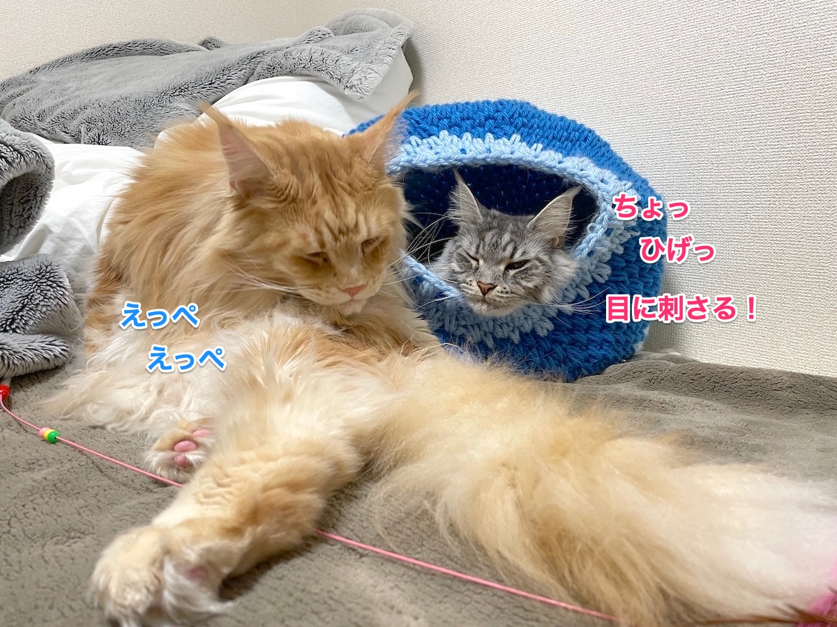 f:id:chikojirou:20210306231019j:plain