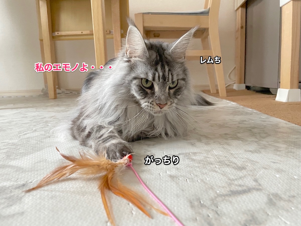 f:id:chikojirou:20210308225700j:plain