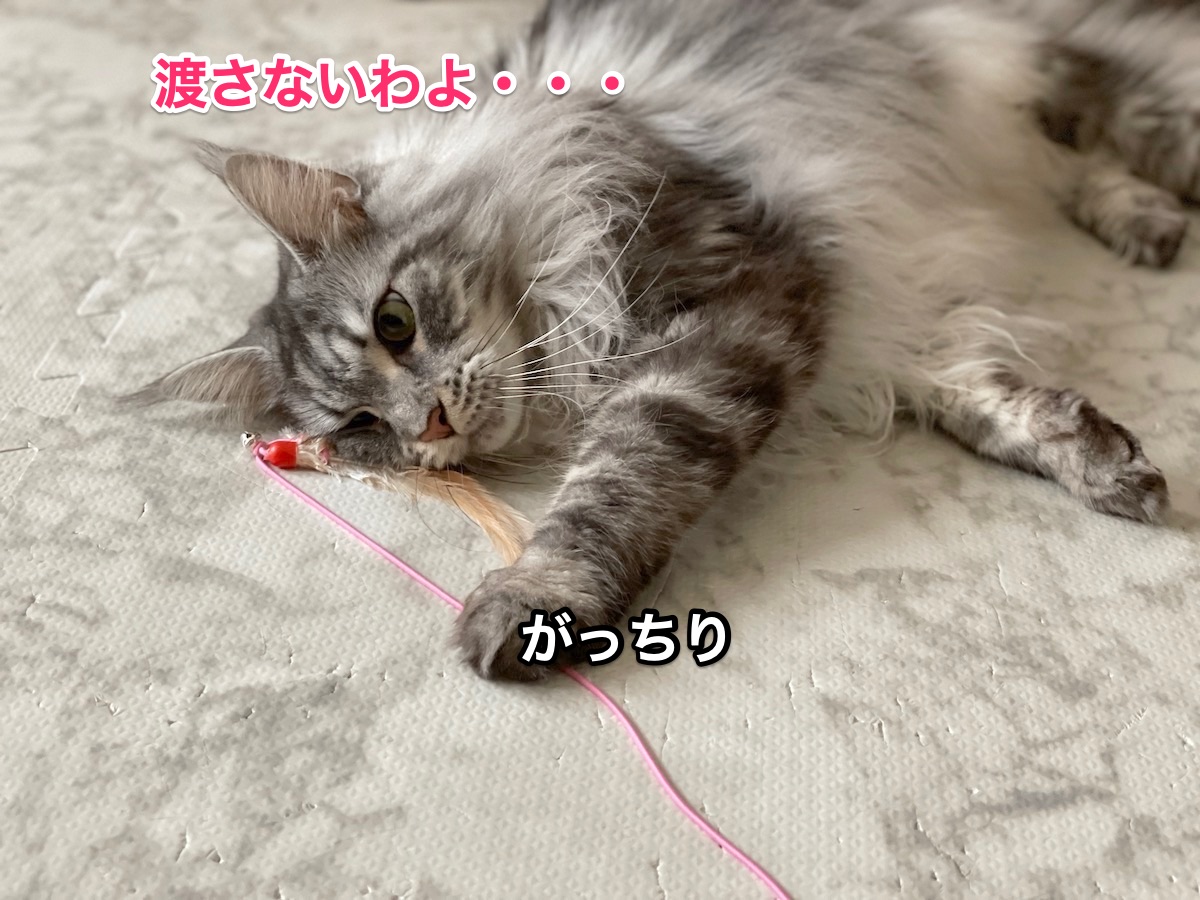 f:id:chikojirou:20210308225708j:plain