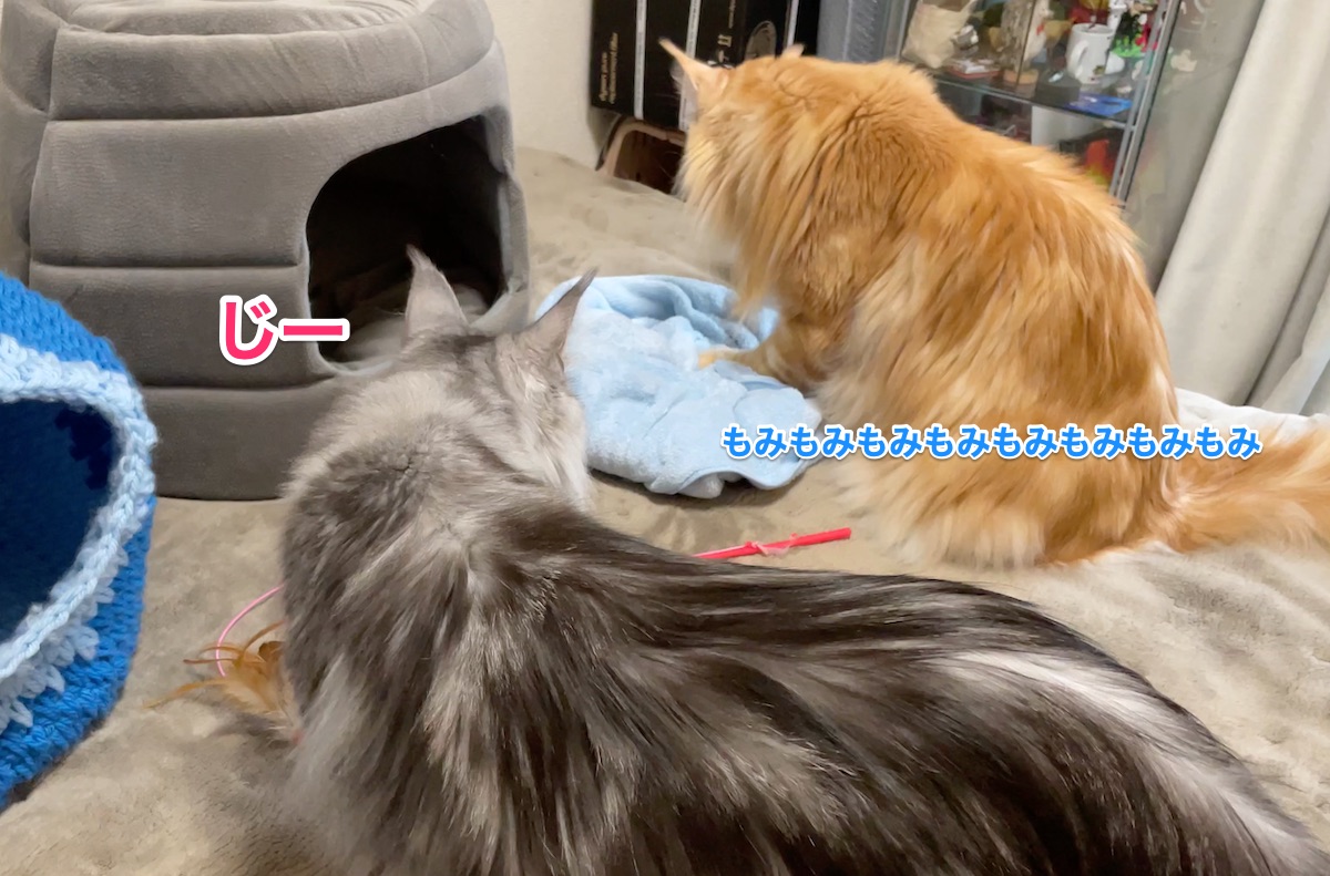 f:id:chikojirou:20210308225715j:plain