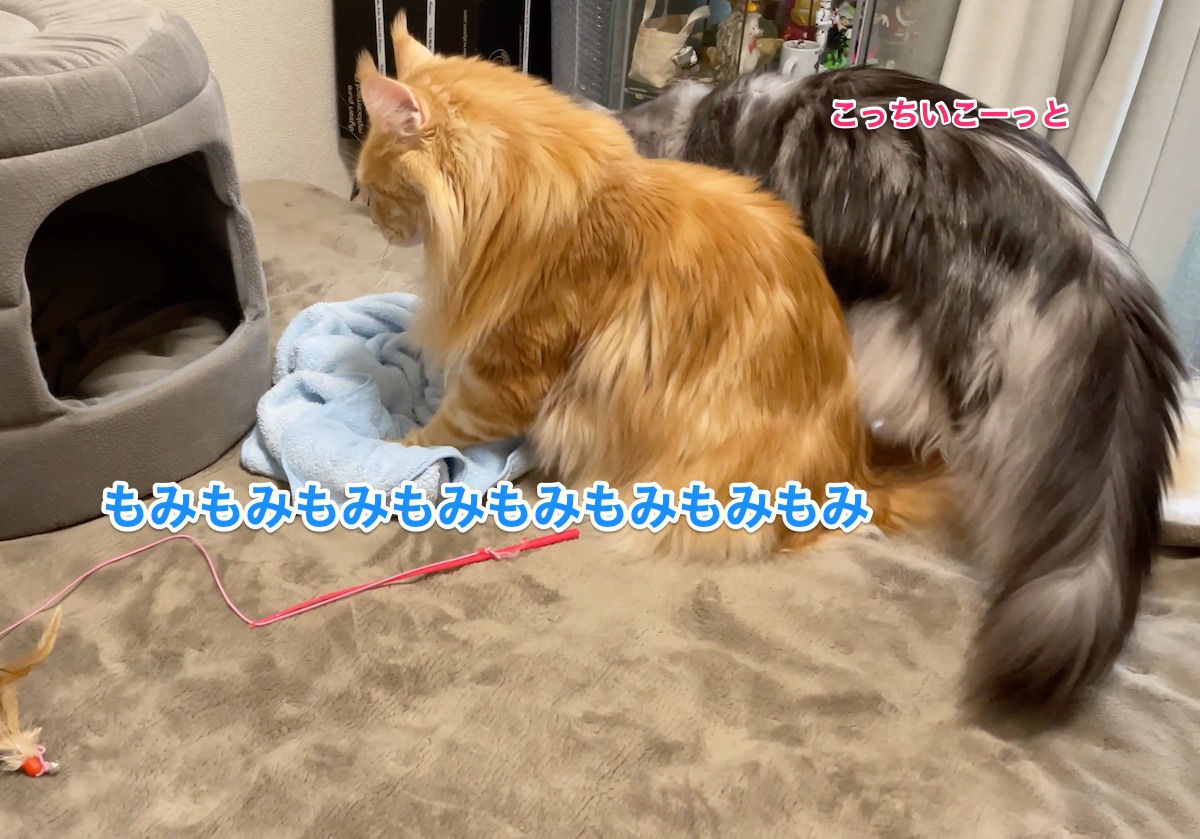 f:id:chikojirou:20210308225719j:plain