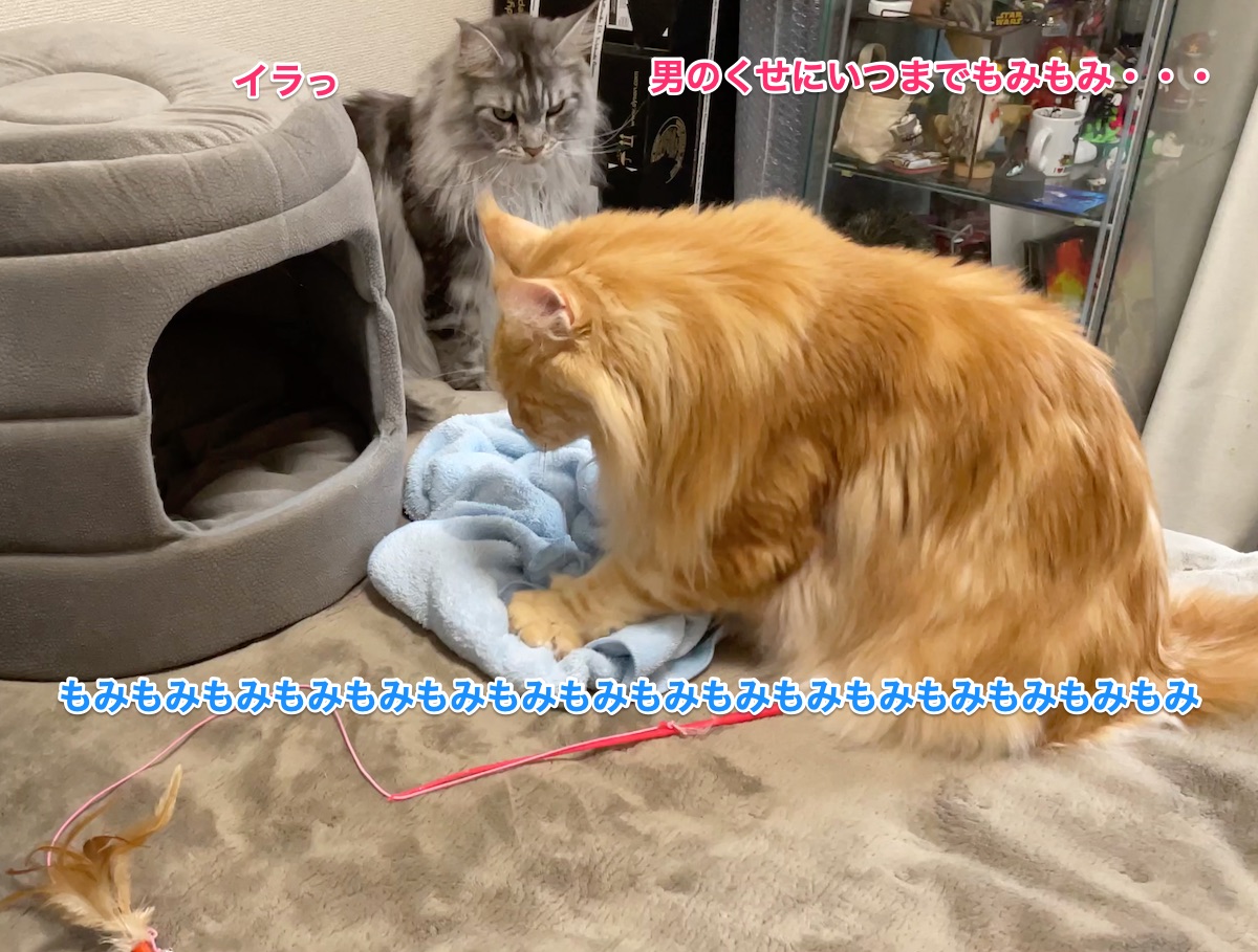 f:id:chikojirou:20210308225729j:plain