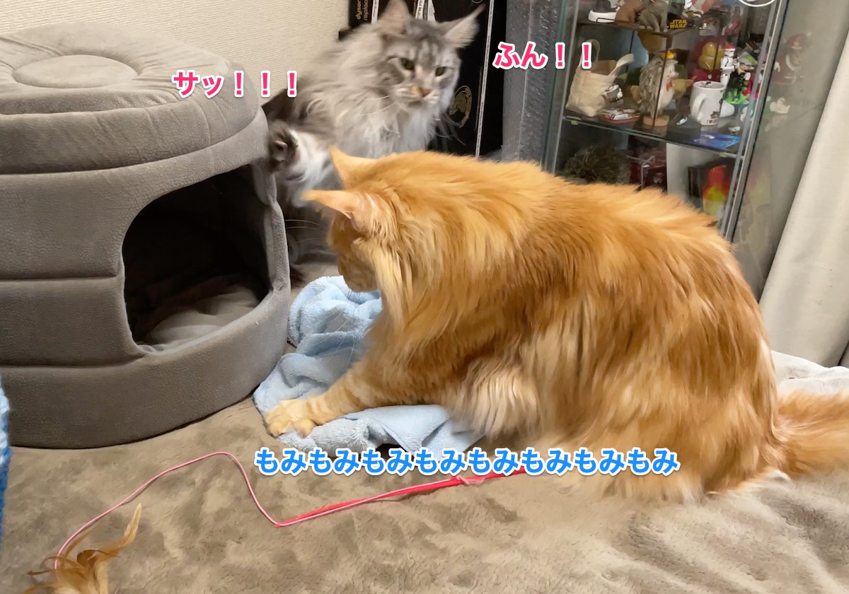 f:id:chikojirou:20210308225733j:plain