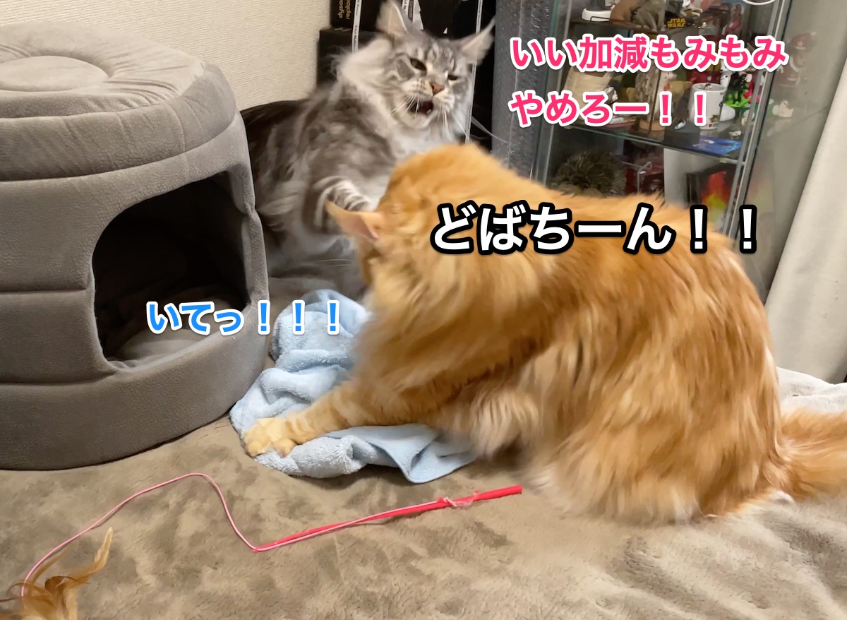 f:id:chikojirou:20210308225738j:plain